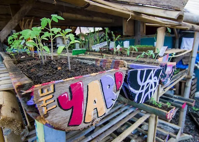 Farmer's Yard