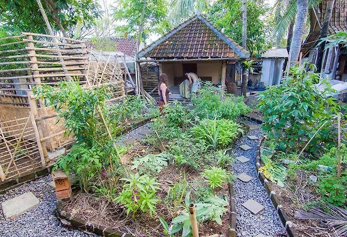 Hostal Farmer's Yard Canggu