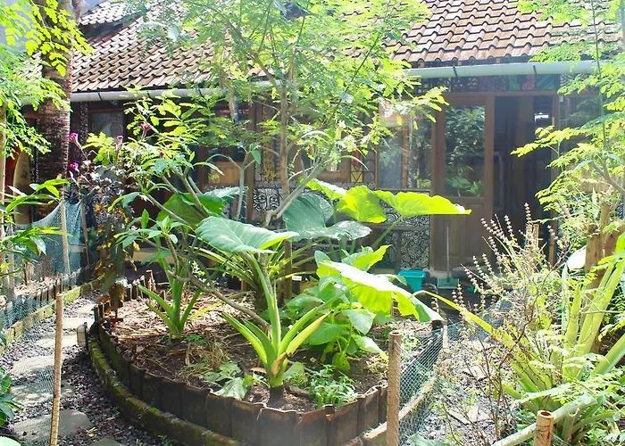 Hostal Farmer's Yard Canggu
